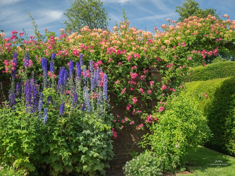 Colemore House Gardens